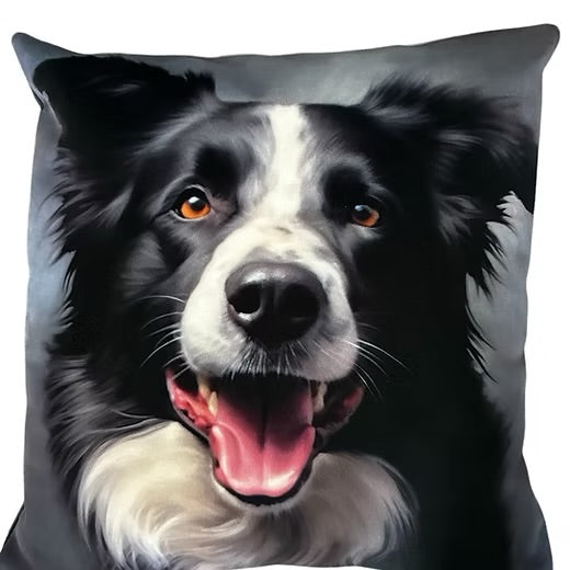 Dog & Cat Collection