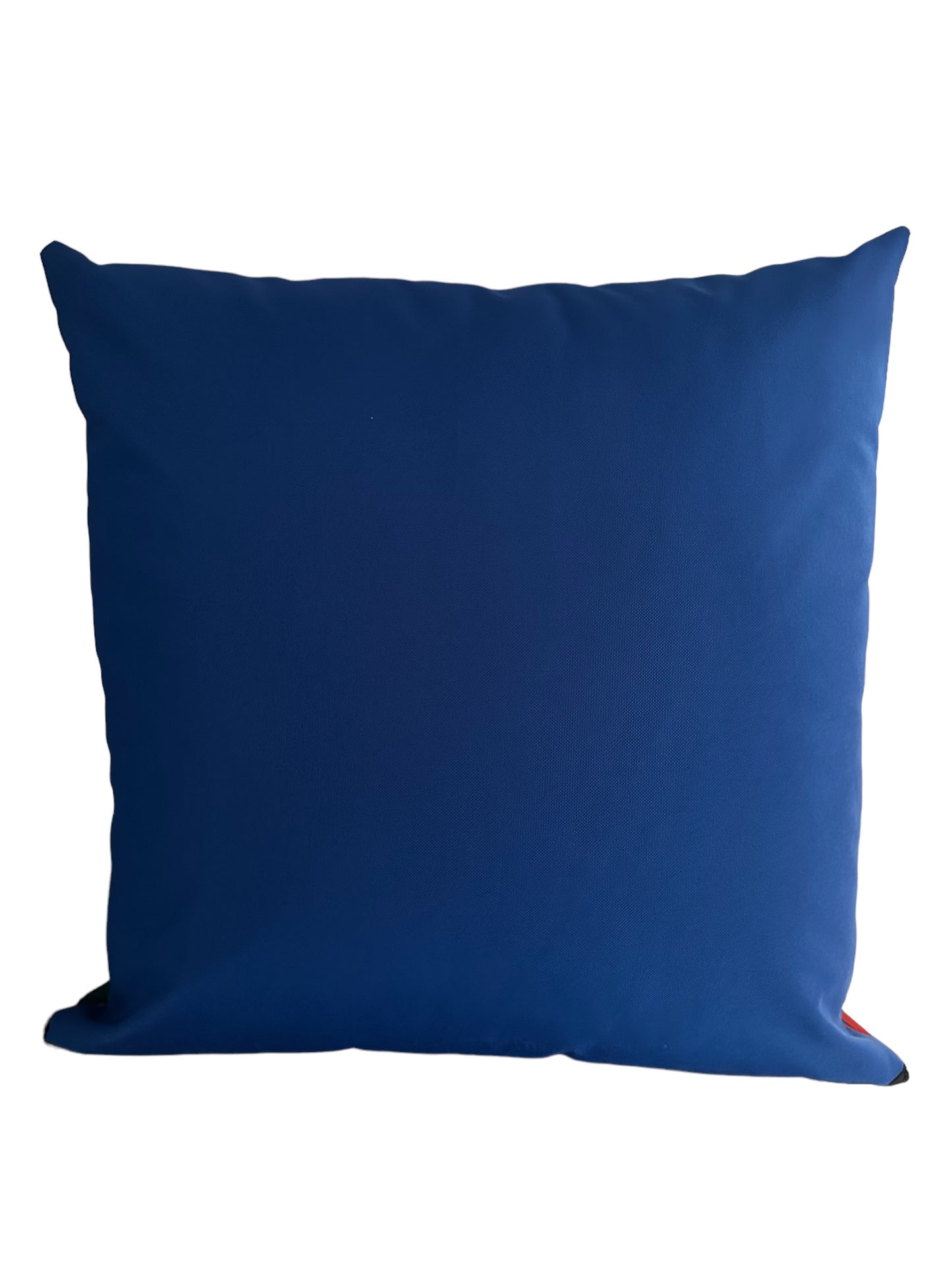 Fun Outdoor Cushion Vibrant Eagle Handmade Water Resistant and Reversible